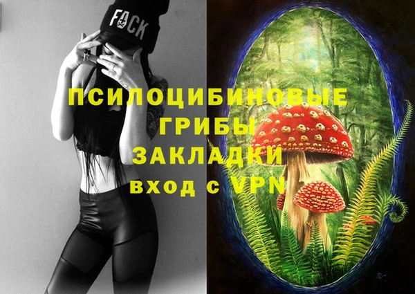 амф Магадан