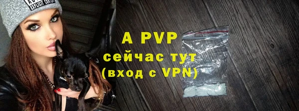 амф Магадан