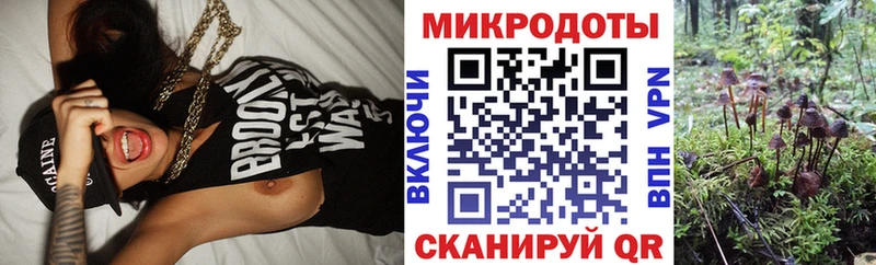 Псилоцибиновые грибы Psilocybe  блэк спрут ссылка  Мыски 