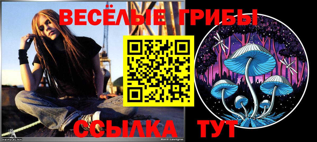 Мыски  Галлюциногенные грибы Psilocybe  Вход с VPN  купить закладку  Псилоцибиновые грибы прущие грибы 