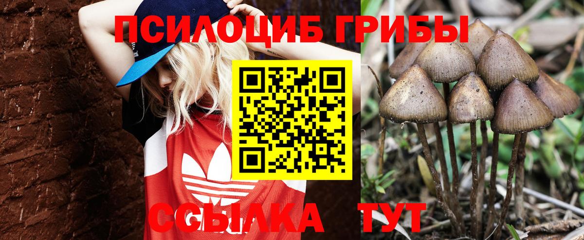 Галлюциногенные грибы ЛСД Мыски
